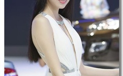 第四片甲骨全集